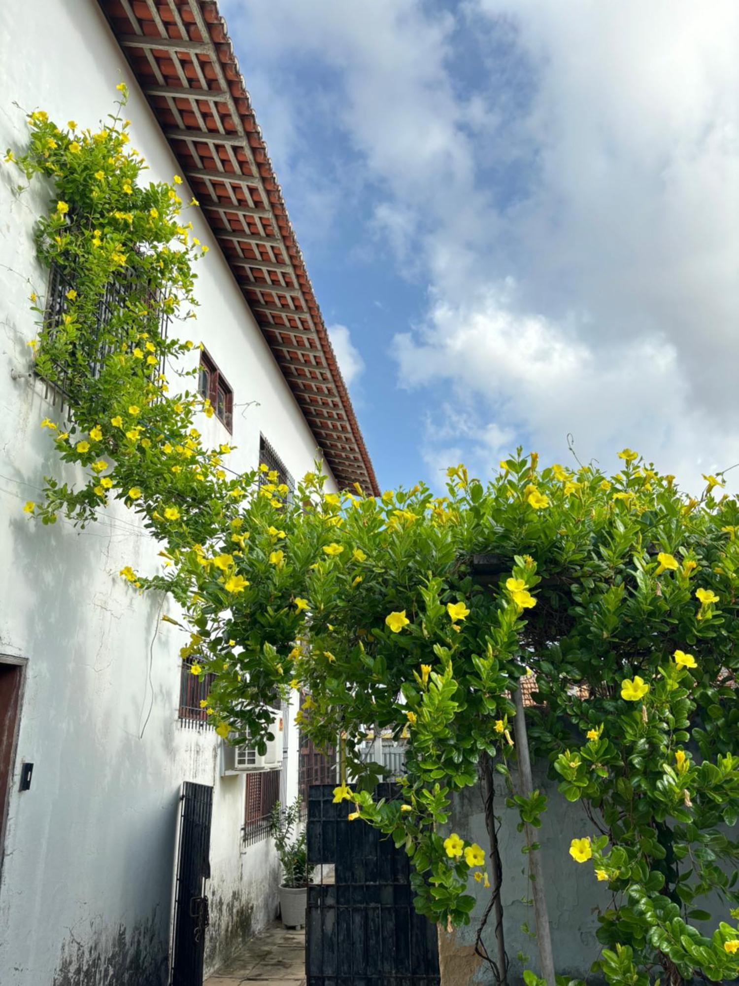 Parnaiba Hostel المظهر الخارجي الصورة